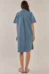 Dawson Denim Dress Medium Wash