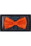 Silk Bow Tie