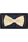 Silk Bow Tie