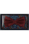 Silk Bow Tie