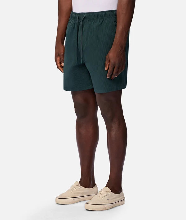 The New Seersucker Swim Short Emerald